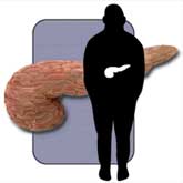 HumanPancreas