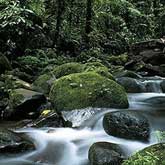 The Amazon Basin is a hot, moist and often rainy region.