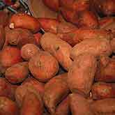 Sweet potatoes in the produce section of a supermarket in VA.