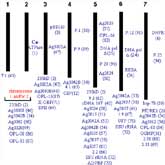 GenomeMappingHumanGenome