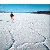 Polygonal cracks in salt pan.