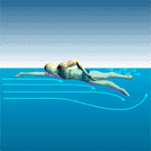 Swimmer